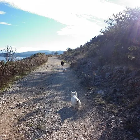 With Sea View * Vrbnik (Primorje-Gorski Kotar)